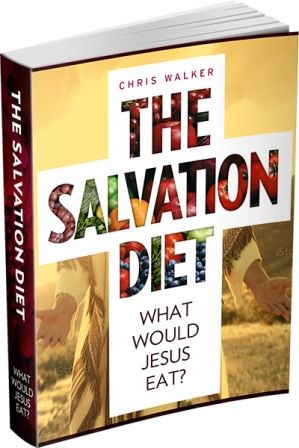 The Salvation Diet e-cover