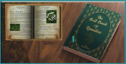 The Lost Book of Remedies pdf