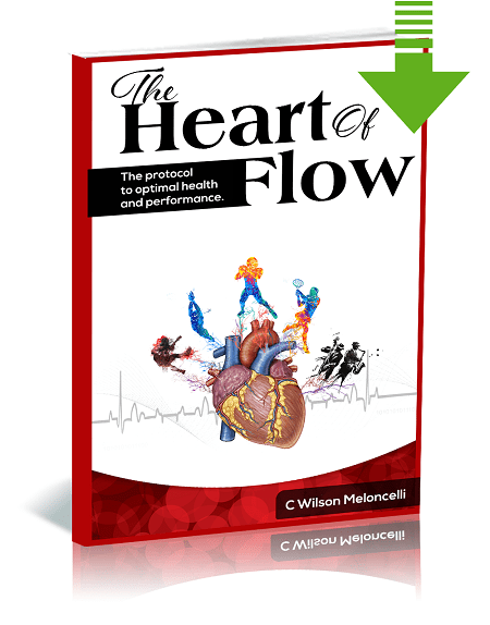 The Heart Of Flow e-cover