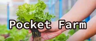 pocket farm e-cover