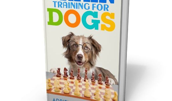 Brain Training for Dogs eBook cover