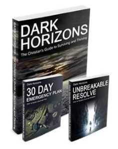 Dark Horizons - Prepared to Thrive AKA The Final Collapse ebook cover