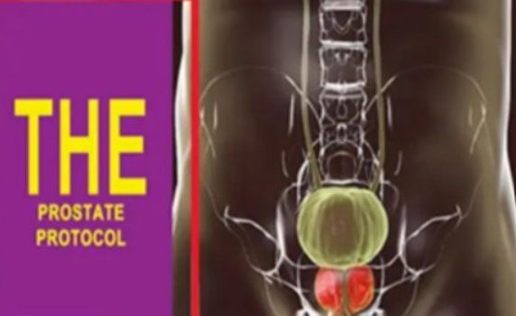 The Prostate Protocol ebook cover