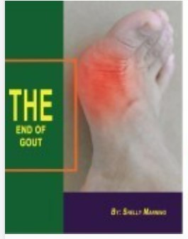 The End Of Gout eBook cover