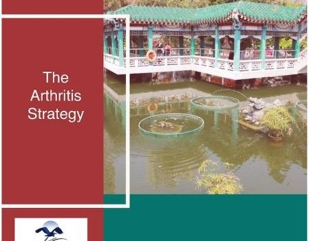 The Arthritis Step By Step Strategy ebook cover