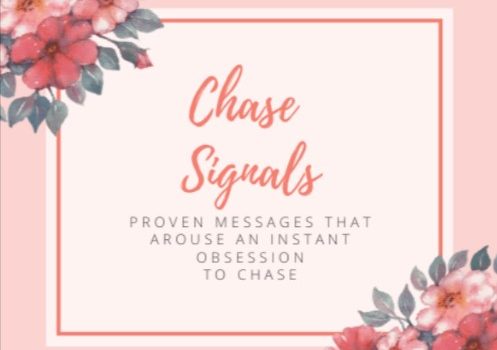 Chase Signals ebook cover