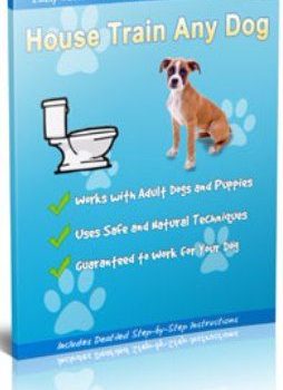 House Train Any Dog ebook cover