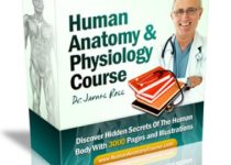 Human Anatomy & Physiology ebook cover