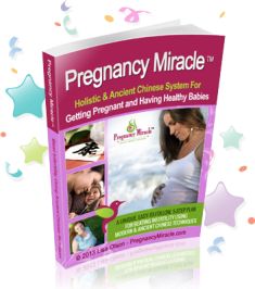 Pregnancy Miracle ebook cover