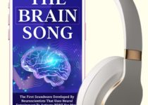 the brain song ebook cover